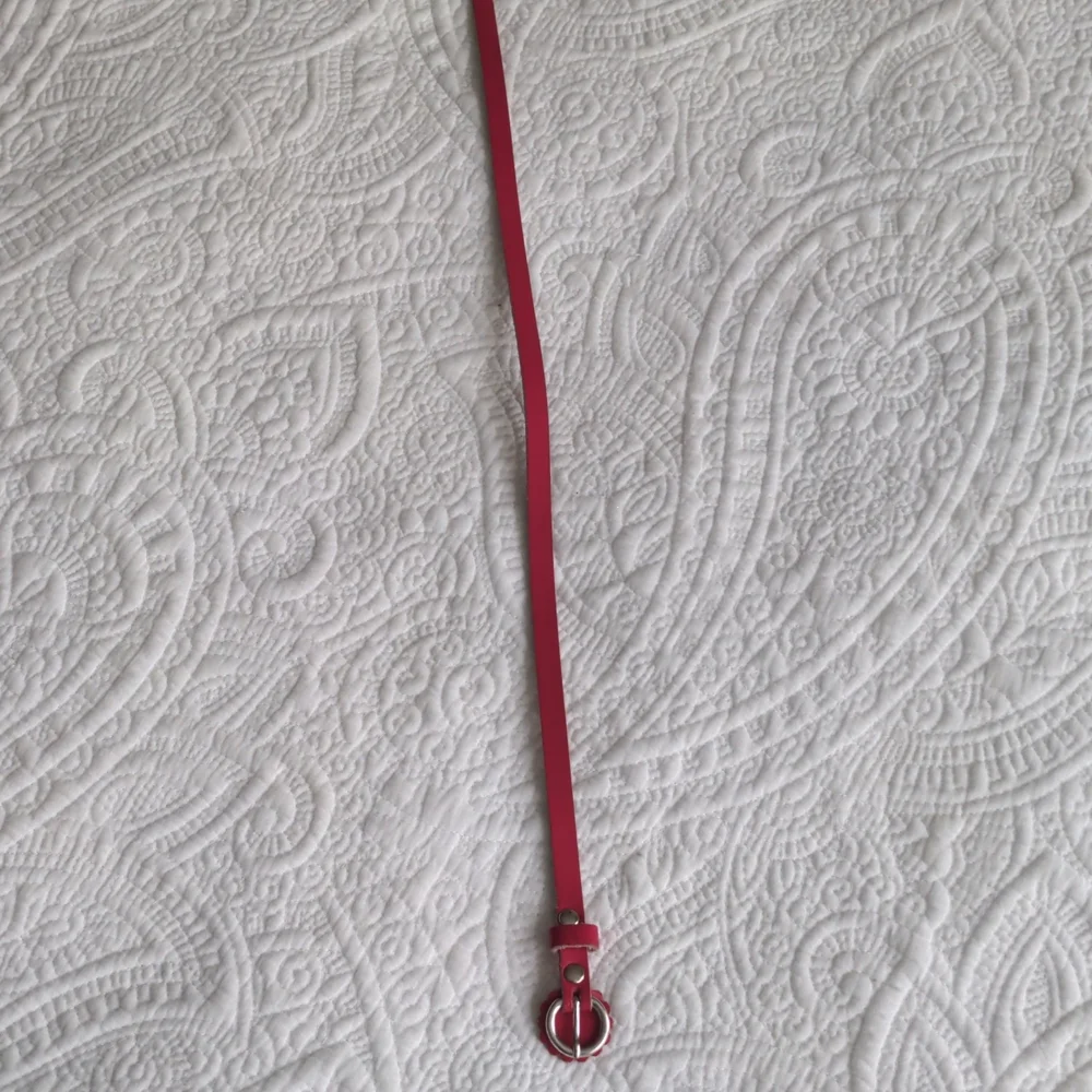 Crewcuts Bundle of Girls Belts